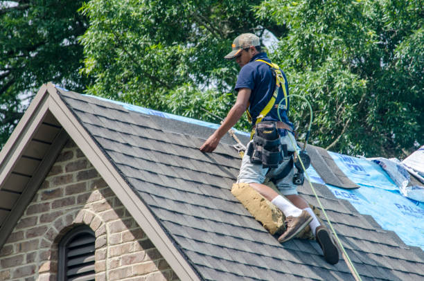 Best Roof Gutter Cleaning  in West Hurley, NY